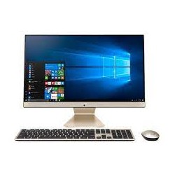 ASUS VIVO AIO V222FAK-BA541W1